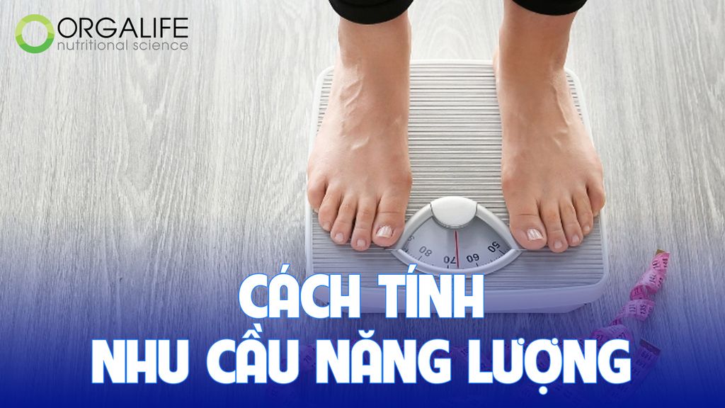 Cách tính nhu cầu năng lượng - Nguyên tác giảm cân