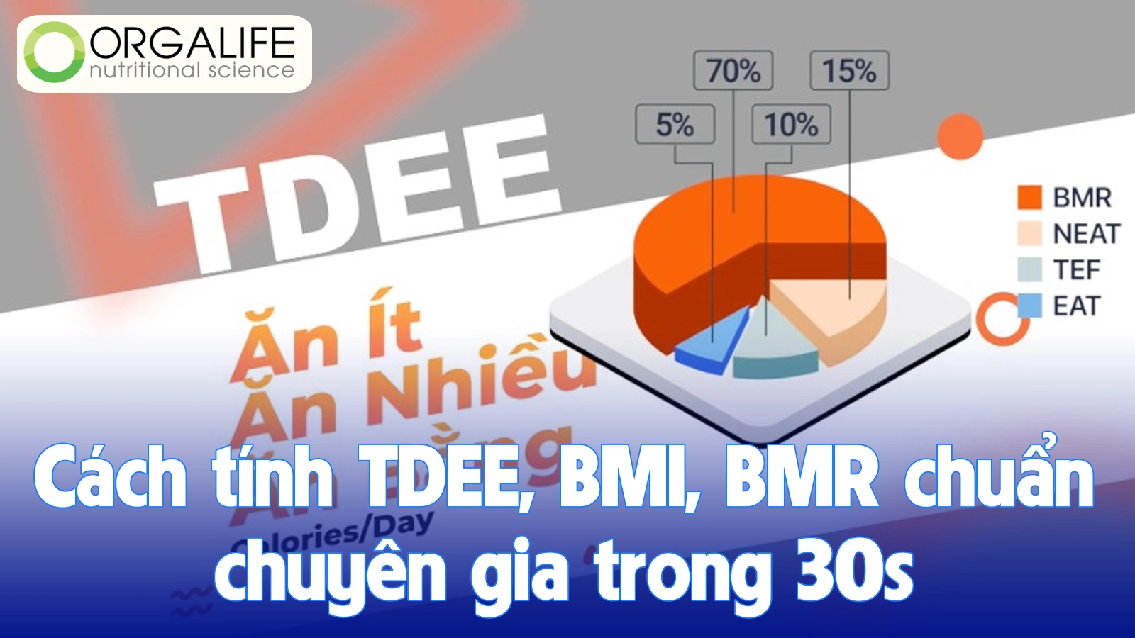 Cách tính TDEE, BMI, BMR chuẩn chuyên gia trong 30s