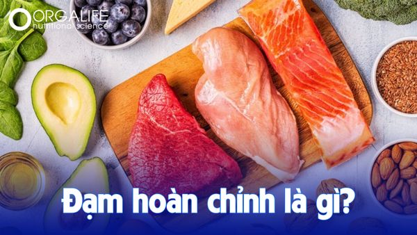 Đạm hoàn chỉnh là gì?