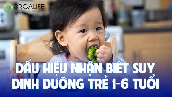 Dấu hiệu nhận biết suy dinh dưỡng trẻ 1 - 6 tuổi