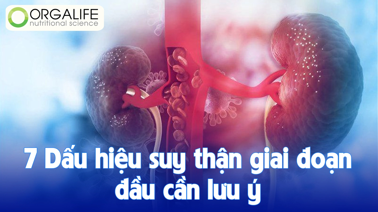 7 Dấu hiệu suy thận giai đoạn đầu cần lưu ý