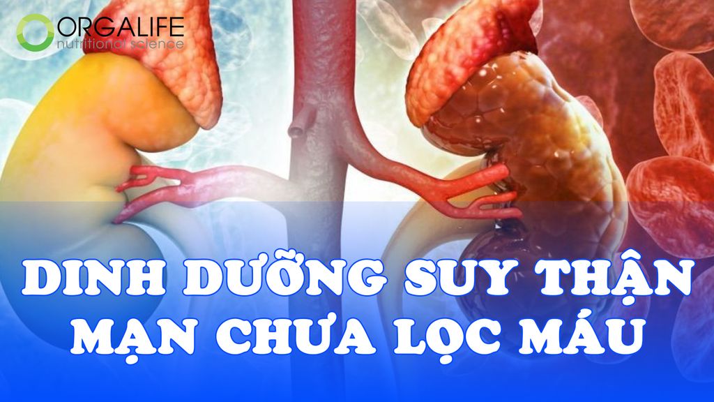 Dinh dưỡng cho người suy thận mạn chưa lọc máu