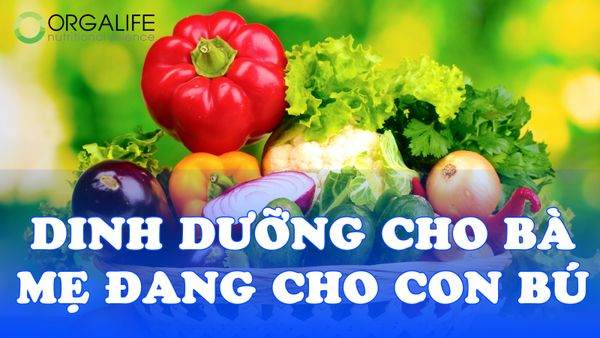 Dinh dưỡng cho bà mẹ đang cho con bú