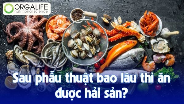 Sau phẫu thuật bao lâu thì ăn được hải sản?