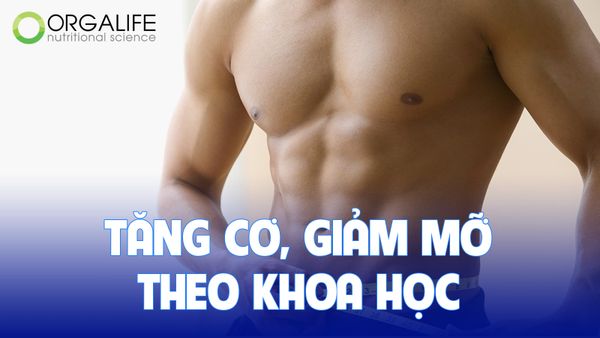 Tăng cơ, giảm mỡ theo khoa học