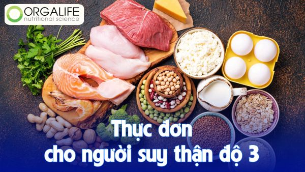 Thực đơn cho người suy thận độ 3: Hướng dẫn chi tiết từ a-z