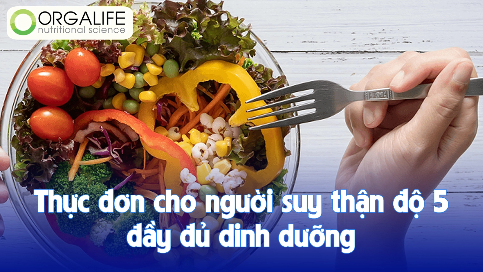 Thực đơn cho người suy thận độ 5 đầy đủ dinh dưỡng