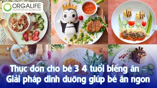 Thực đơn cho bé 3 4 tuổi biếng ăn – Giải pháp dinh dưỡng giúp bé ăn ngon hơn