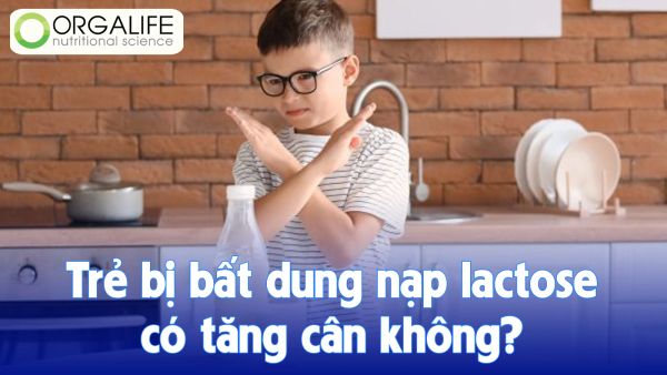 Trẻ bị bất dung nạp lactose có tăng cân không?