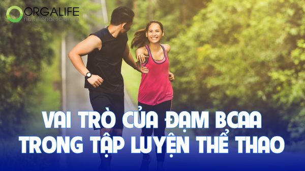 Vai trò của đạm BCAA trong tập luyện thể thao