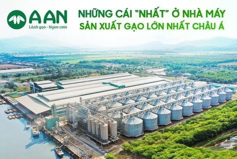 ⭐ 𝑁ℎ𝑎̀ 𝑀𝑎́𝑦 𝐺𝑎̣𝑜 𝐿𝑜̛́𝑛 𝑁ℎ𝑎̂́𝑡 𝐶ℎ𝑎̂𝑢 𝐴́ 𝐶𝑢̉𝑎 𝐴 𝐴𝑛 𝐶𝑜́ 𝑁ℎ𝑢̛̃𝑛𝑔 𝐺𝑖̀