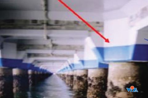 Bí mật của lớp giáp bảo vệ Công trình Cầu cảng sau sửa chữa