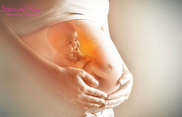DHA có khả năng ảnh hưởng trực tiếp tới sức khỏe của mẹ và sự phát triển của bé