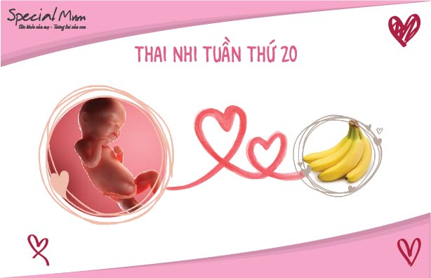 special-mum-tuan-20-hinh-anh-thai-nhi