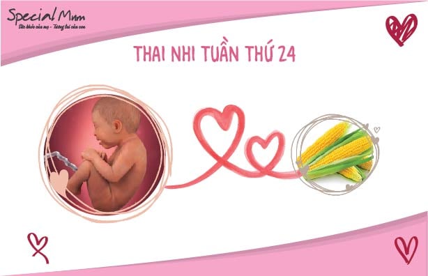Thai 8 tuần tuổi có sự phát triển và thay đổi như thế nào