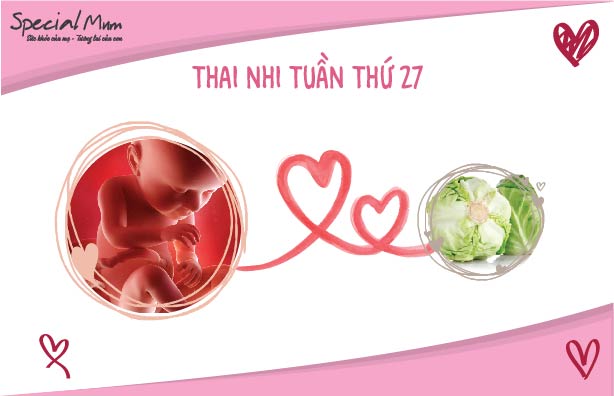 special-mum-tuan-27-hinh-anh-thai-nhi