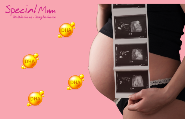 DHA giúp thai nhi phát triển toàn diện | Special Mum
