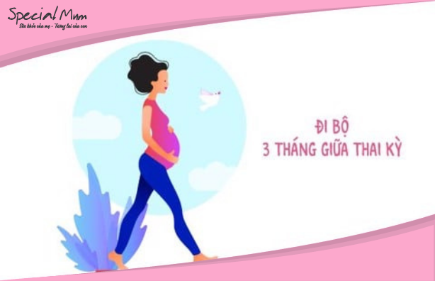 Mẹ bầu đi bộ trong 3 tháng giữa thai kỳ | Specialmum
