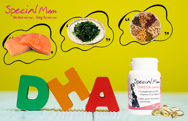 Nguồn thực phẩm bổ sung DHA | Special Mum