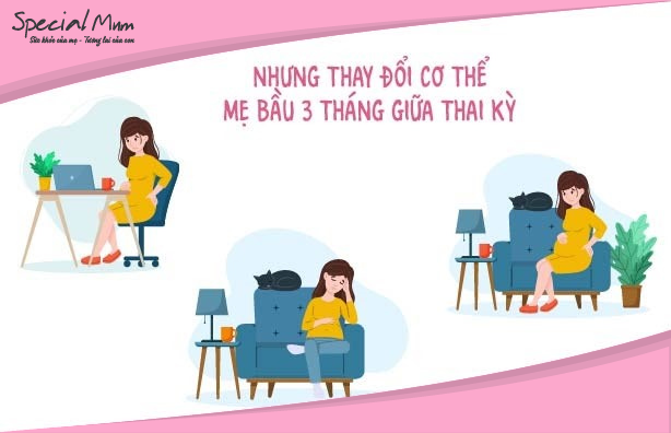 Thay đổi của cơ thể mẹ bầu trong 3 tháng giữa thai kỳ | Specialmum