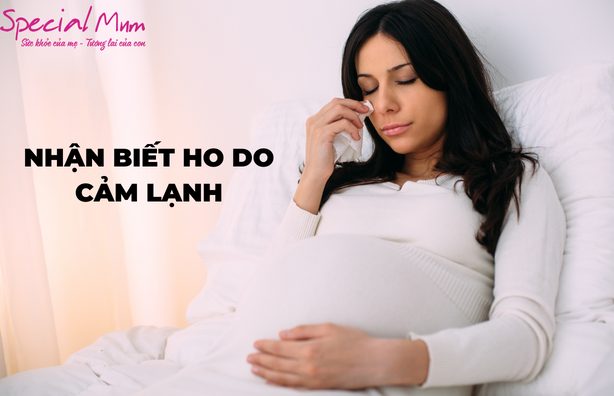 Nhận biết ho do cảm lạnh ở bà bầu | Special Mum