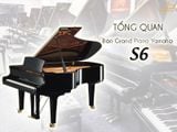 TỔNG QUAN VỀ ĐÀN GRAND PIANO YAMAHA S6