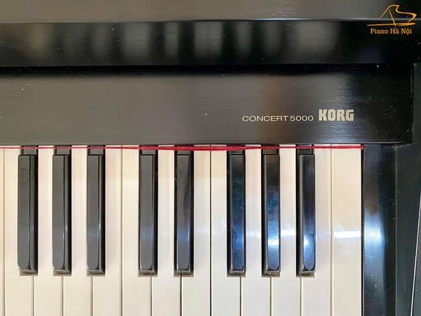 Đàn Piano Điện KORG C5000 - Giảm Giá Cực Sốc Tại Piano Hà Nội – Piano Hà Nội