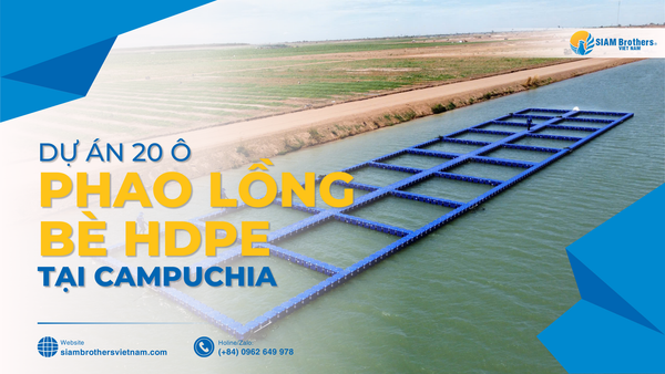 Dự án 20 ô phao lồng bè HDPE - Giải pháp cách mạng cho bè nuôi cá hiện đại