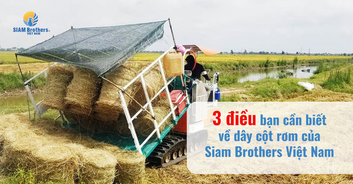 3 điều bạn cần biết về dây cuộn rơm của Siam Brothers Việt Nam – SIAM ...