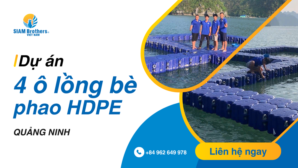 [Quảng Ninh] Dự án 4 ô đôi lồng bè phao HDPE của SIAM Brothers Việt Nam giải pháp phục hồi tối ưu