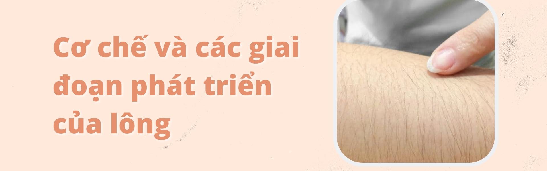 Tìm hiểu cơ chế và các giai đoạn phát triển của lông và lựa chọn phương pháp triệt lông phù hợp