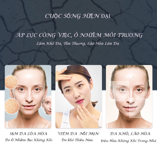 Máy phun sương Tạo ẩm NANO Kết hợp cảm biến đo Độ ẩm và Dầu - SWEET SKIN