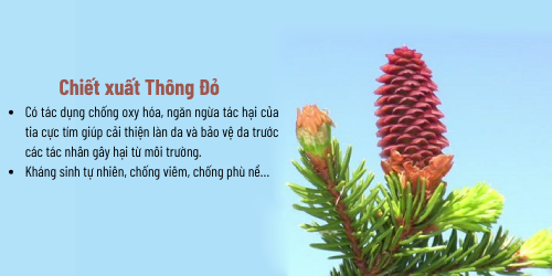 Chức năng: Làm tinh chất rửa mặt, kiểm soát dầu nhờn, làm sạch da, vệ sinh da Công nghệ: Hàn Quốc