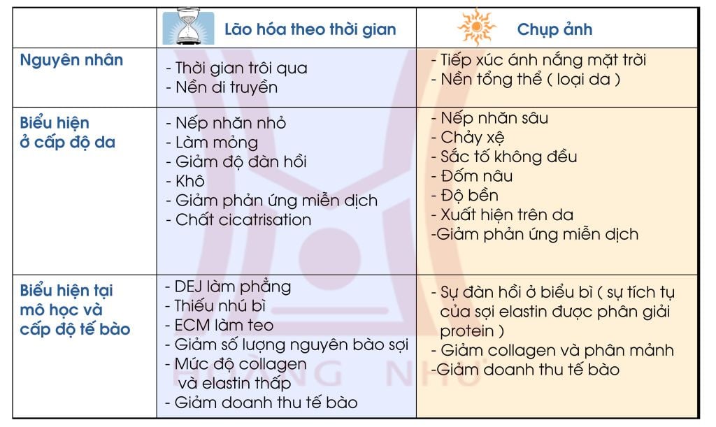 Vẽ Tay Cấu Trúc Phân Tử Peptit Liên Kết Peptit  Công cụ đồ họa PSD Tải  xuống miễn phí  Pikbest