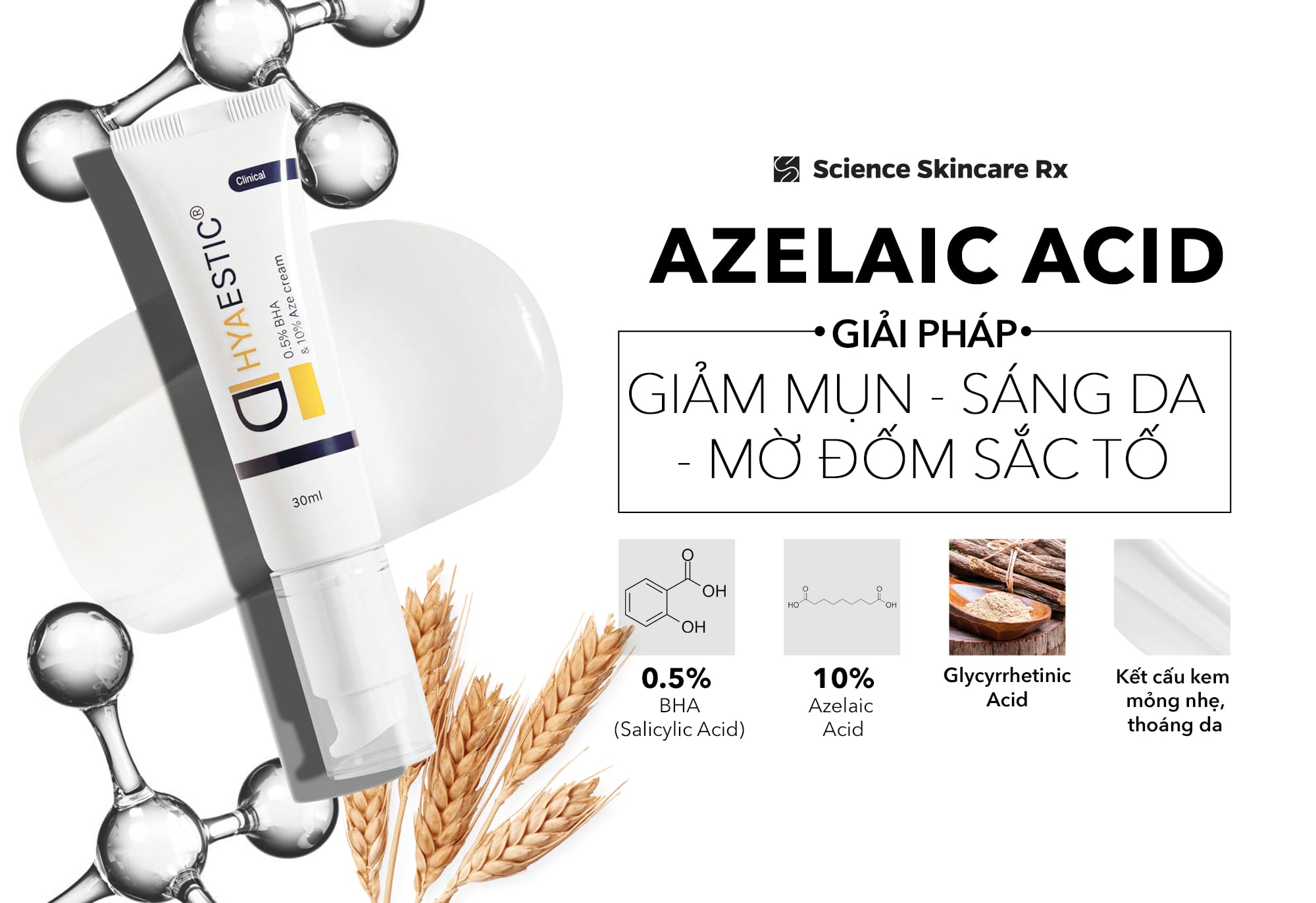 Azelaic Acid - Giải pháp tiên phong điều trị mụn trứng cá và rối loạn tăng sắc tố trên da