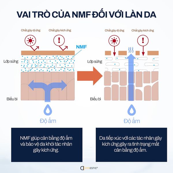 bo-doi-cap-am-sau-peel-2