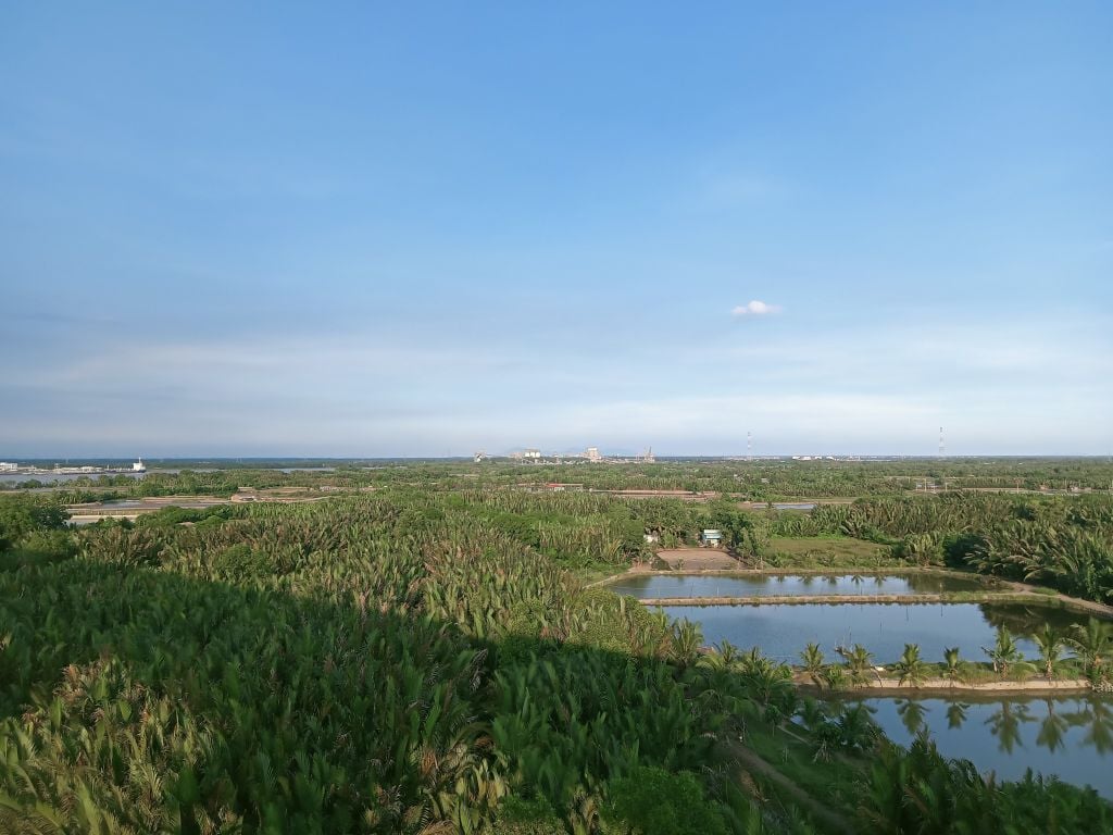 Vùng Nguyên Liệu Dừa Nước Hữu Cơ Của VIETNIPA – Bảo Vệ Lá Phổi Xanh Của TP. HCM và Tạo Cơ Hội Việc Làm Bền Vững