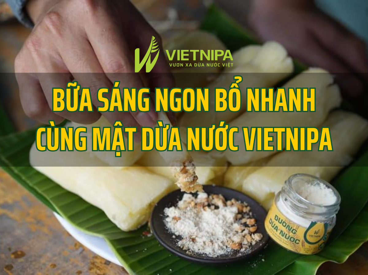 Bữa Sáng Ngon Bổ Nhanh Cùng Mật Dừa VIETNIPA