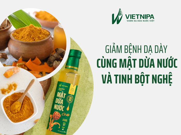 Giảm Bệnh Dạ Dày Cùng Mật Dừa Nước Và Tinh Bột Nghệ