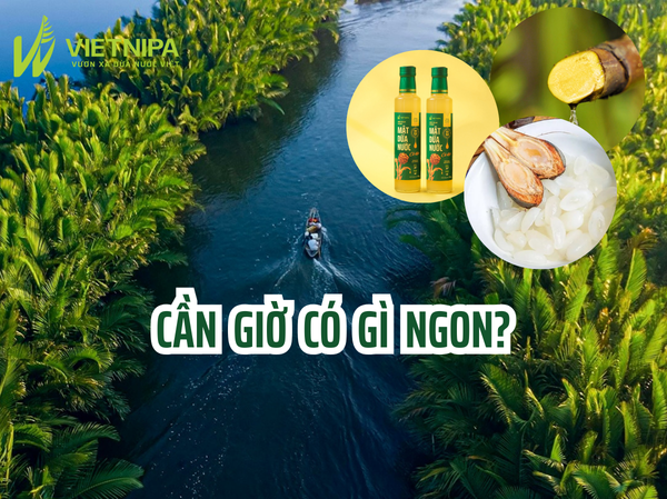 Cần Giờ Có Gì Ngon?