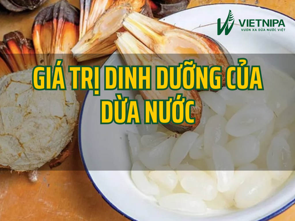 Giá Trị Dinh Dưỡng Của Dừa Nước
