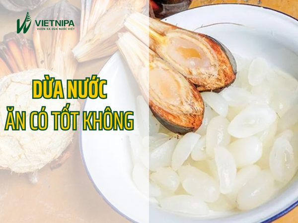 Dừa Nước Ăn Có Tốt Không?