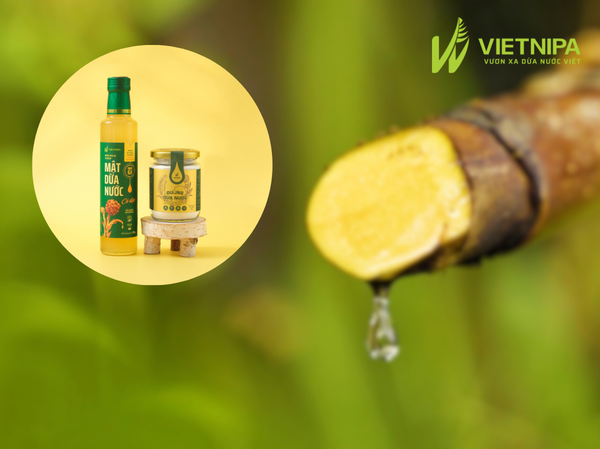 Vị Của Mật Dừa Nước