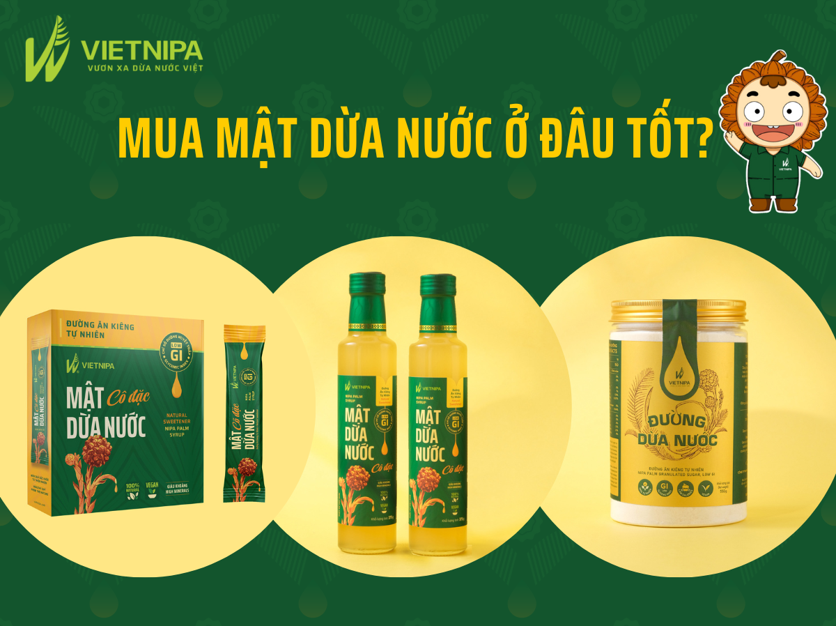 Mua Mật Dừa Nước Ở Đâu Tốt?