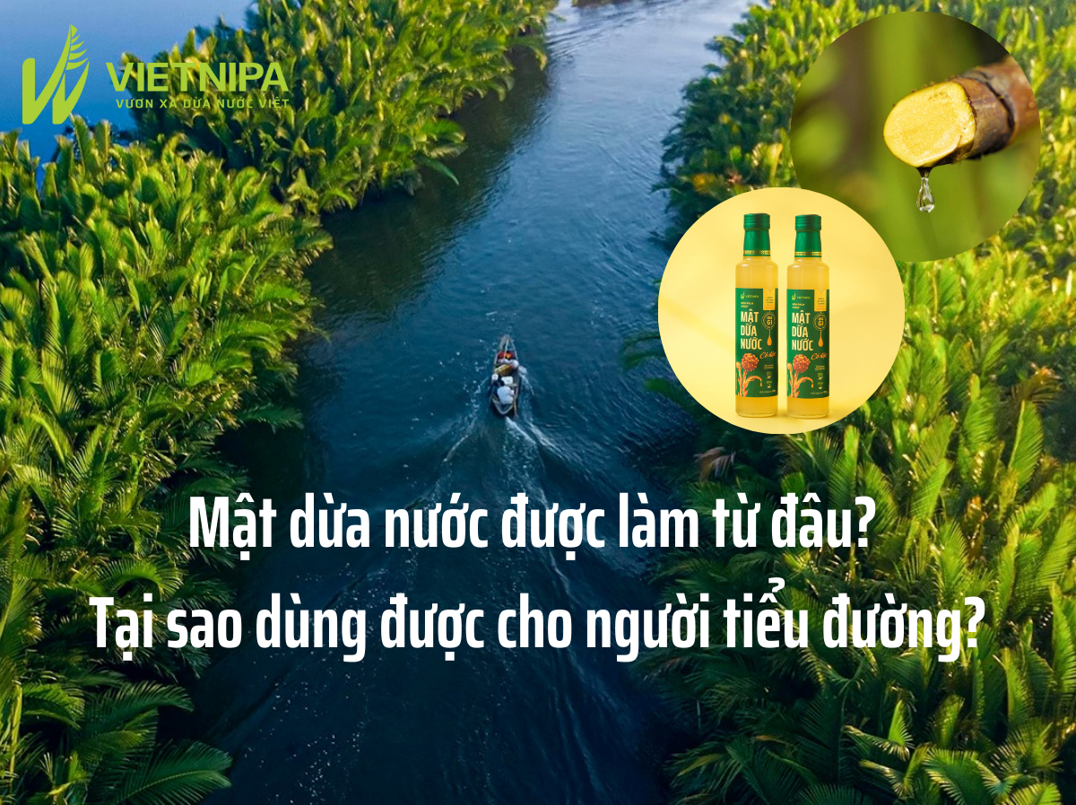 Mật Dừa Nước Được Làm Từ Đâu? Tại Sao Dùng Được Cho Người Tiểu Đường