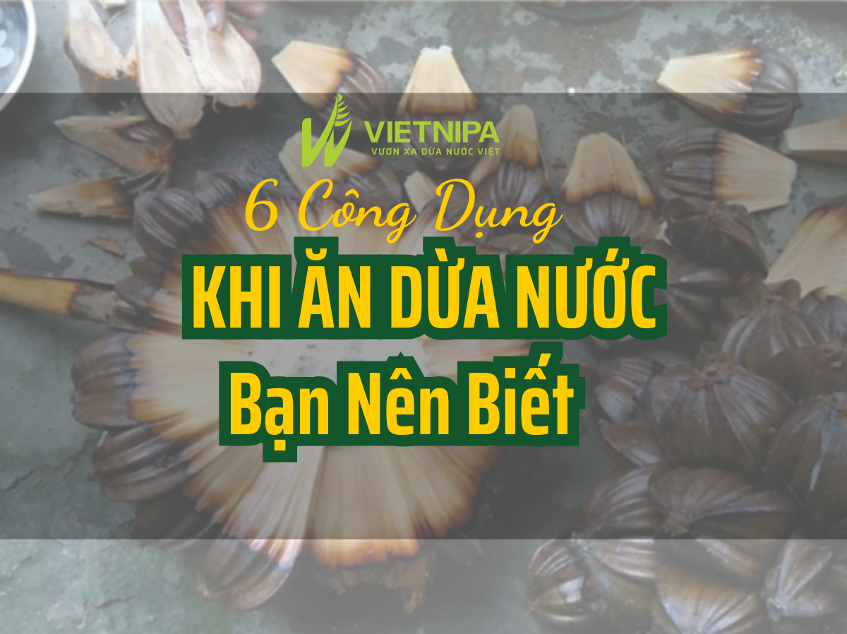 6 Công Dụng Khi Ăn Trái Dừa Nước Bạn Nên Biết