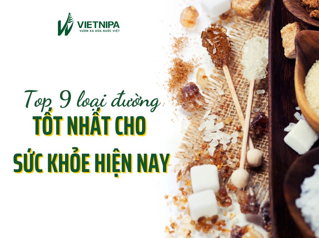 Top 9 Loại Đường Tốt Nhất Cho Sức Khỏe Hiện Nay