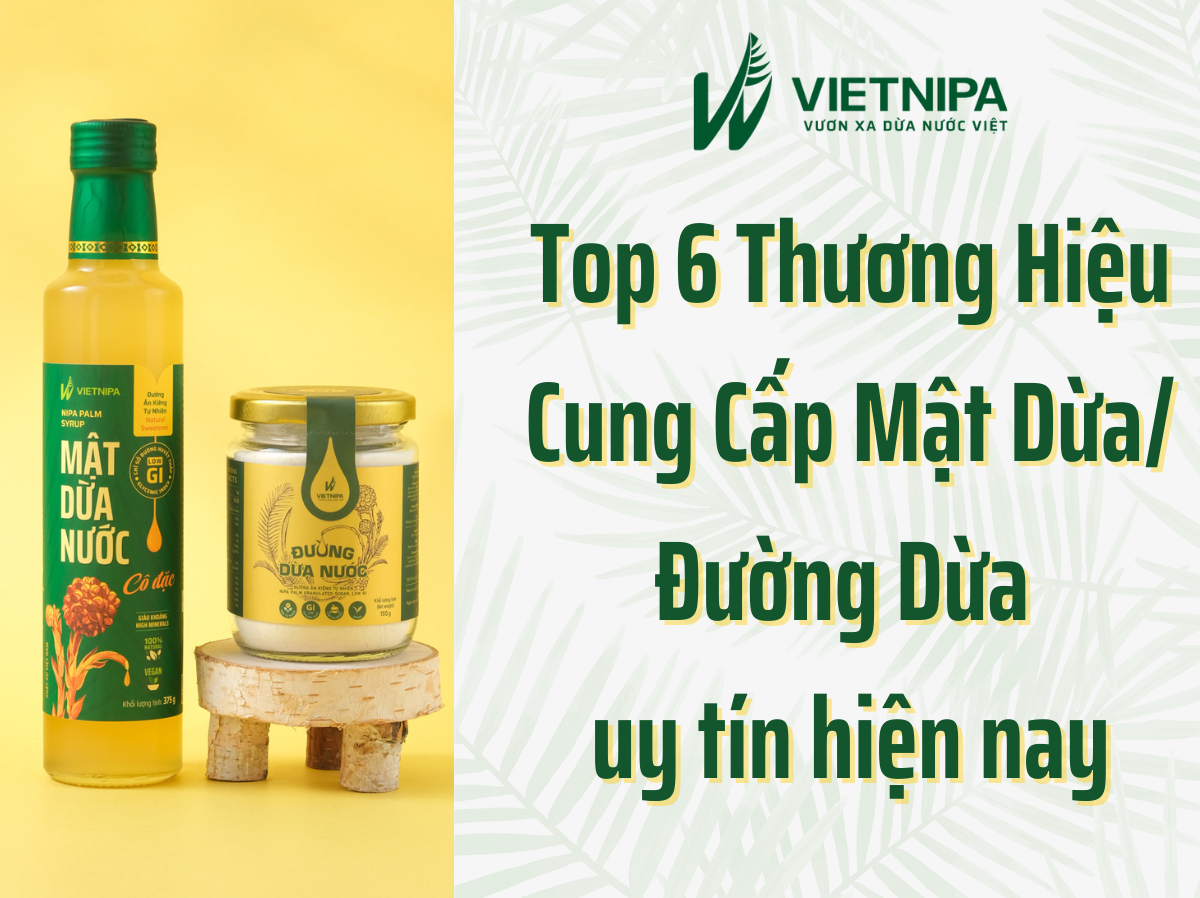 6 Thương Hiệu Cung Cấp Mật Dừa/Đường Dừa Uy Tín Hiện Nay