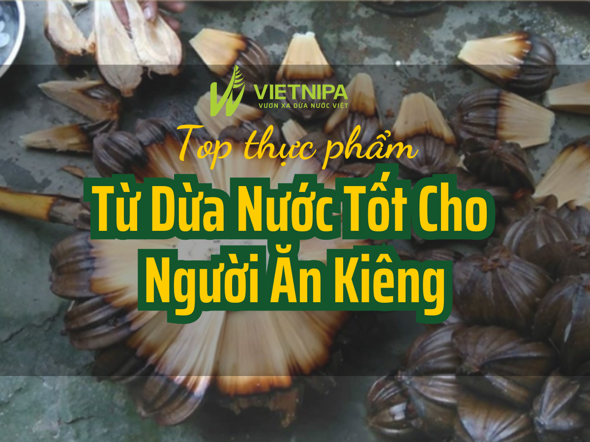 Review Nhanh - Top Thực Phẩm Từ Dừa Nước Tốt Cho Người Ăn Kiêng