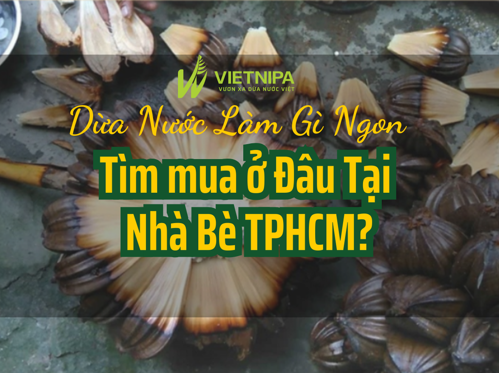 Dừa Nước Làm Gì Ngon? Tìm Mua Ở Đâu Tại Huyện Nhà Bè Tp HCM?